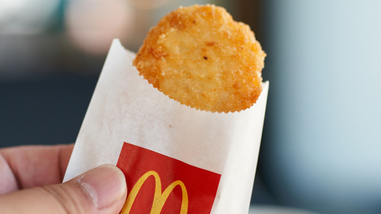 Someone holding a McDonald's hash brown