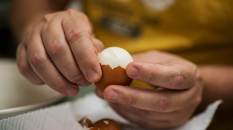 Closeup hands peeling a hard boiled egg in brown shell