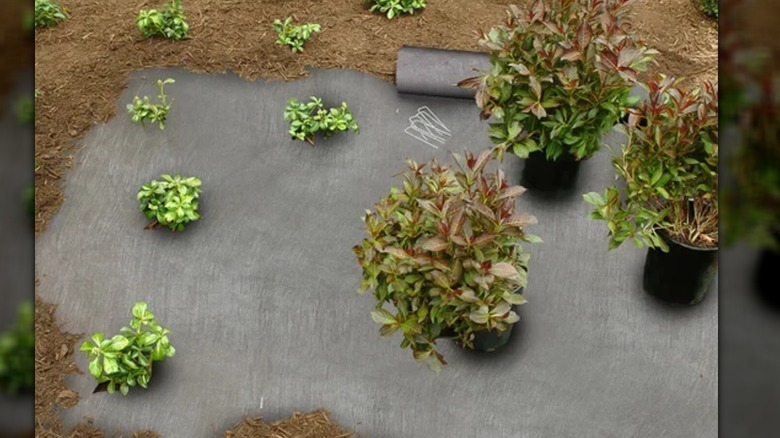 Dalen Pro-Shield Landscaping Fabric