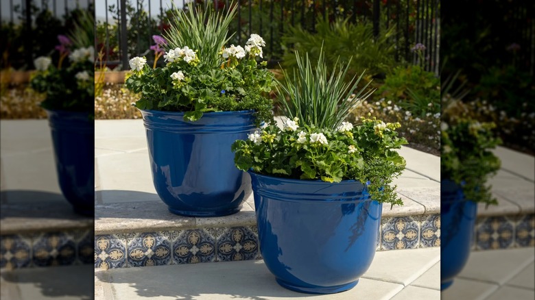 Trendspot Theo Resin planters in blue