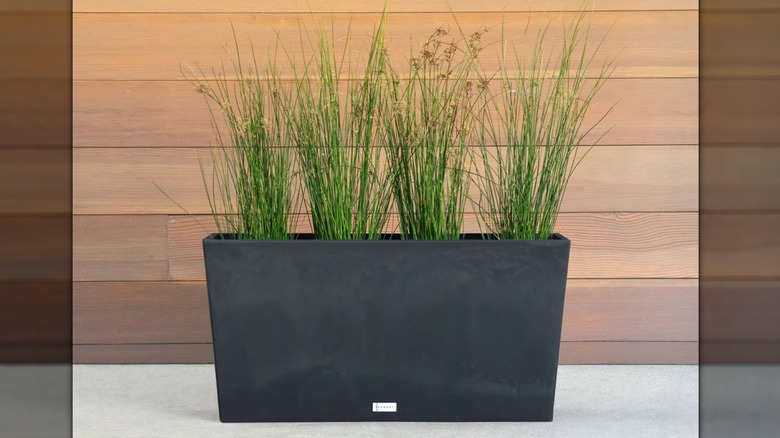 Veradek Trough Planter