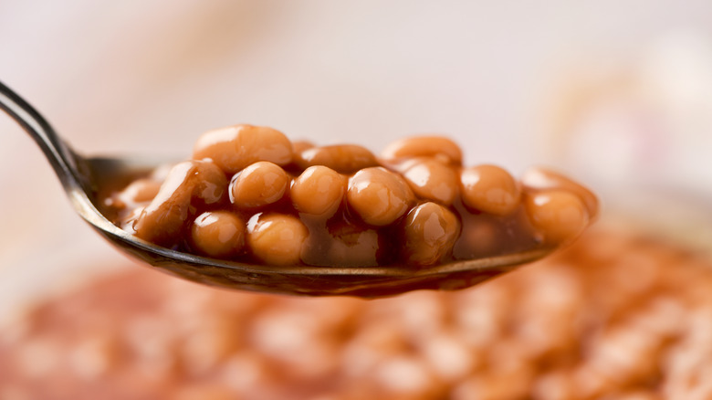 Close-up of a spoon of baked beans
