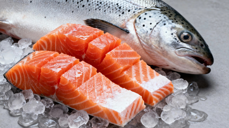 Two salmon fillets and a fish sitting on ice