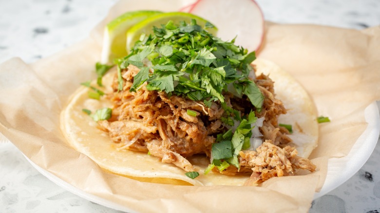 corn tortilla with carnitas and cilantro