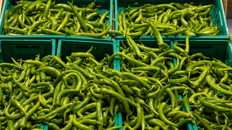 green chile peppers in bins