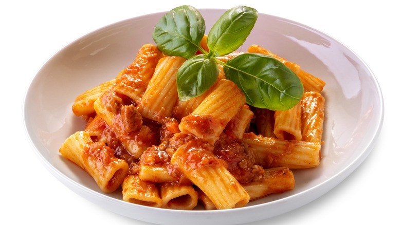 dish of rigatoni with meat sauce