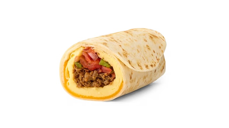 breakfast burrito with ground beef and toppings