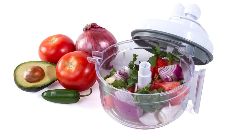 The Salsa Master Manual Food Processor