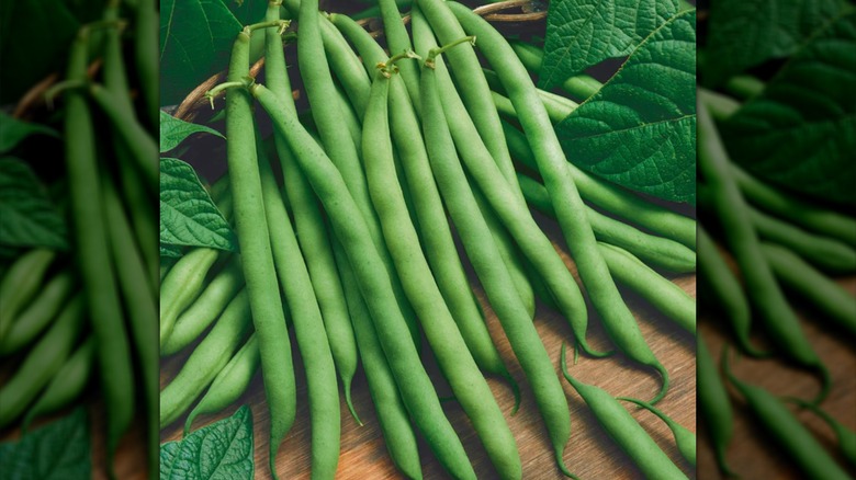 Bountiful Stringless beans