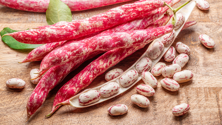 Cranberry beans