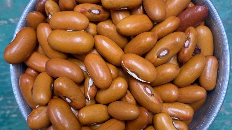 Close-up of Golden gaucho beans