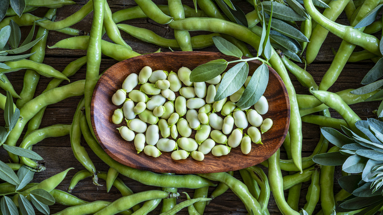 Lima beans in a wooden bowl, surrounded by pods