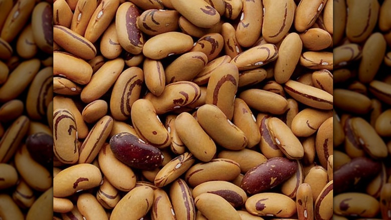 Close-up of Tiger's eye beans
