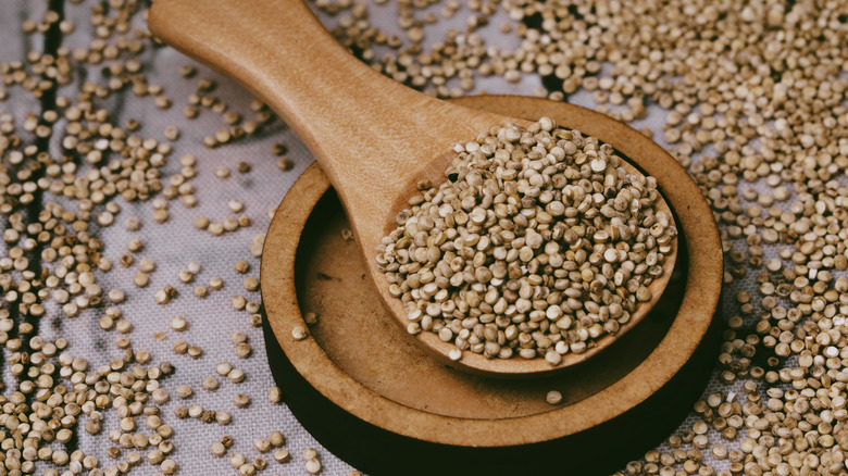 Close-up of quinoa seeds on a wooden spoon