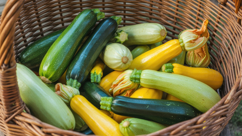A basket of summer squashes