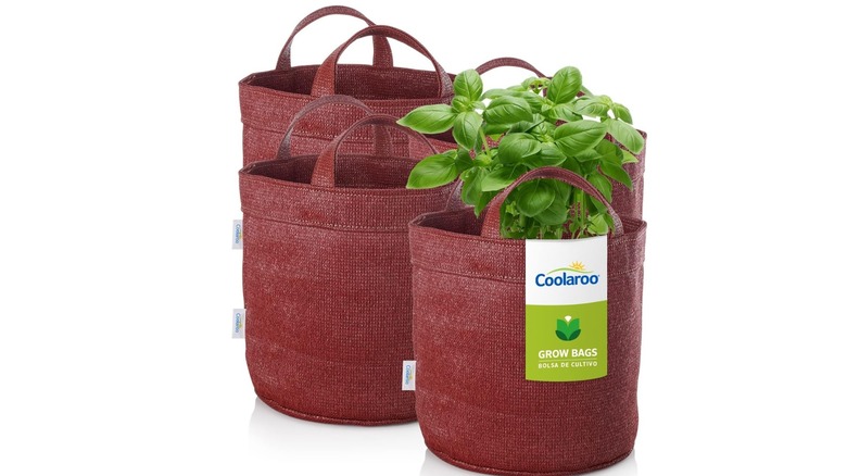 Coolaroo Grow Bags