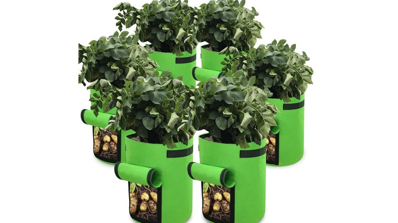 Gardzen's vegetable grow bags