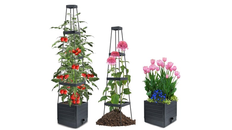 MQFORU Raised garden planter