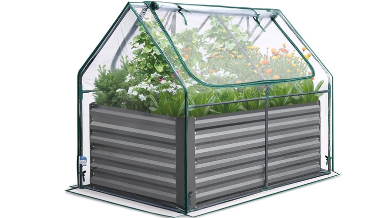 The Quictent raised garden bed and greenhouse cover