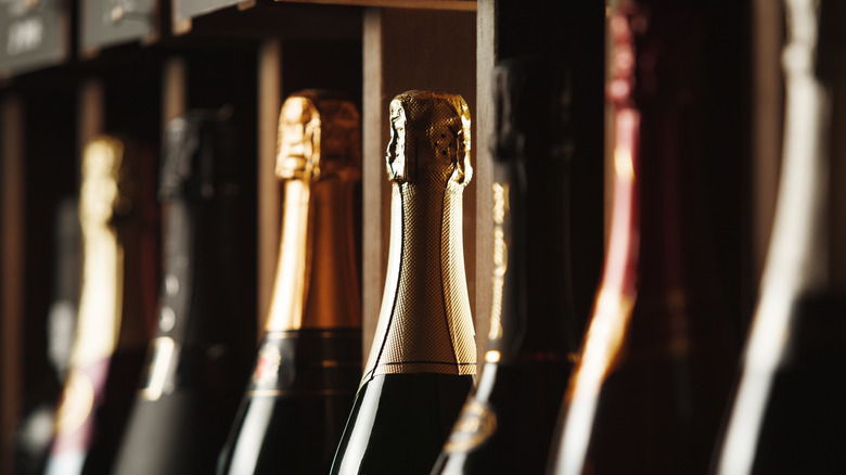 Bottles of champagne stored on a shelf