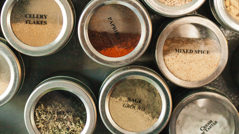 Closeup of magnetic spice jars on stainless steel