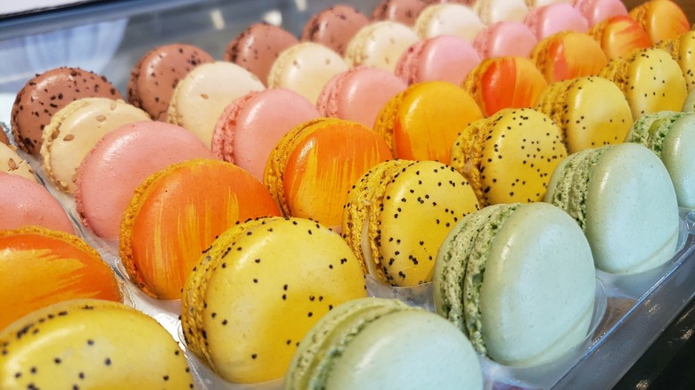 Lineup of multiple rows of colorful macarons