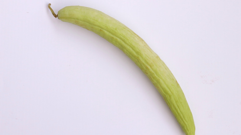 An Armenian cucumber on white background