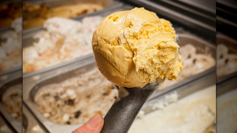 Ice cream from Be Free Craft Ice Cream in Virginia