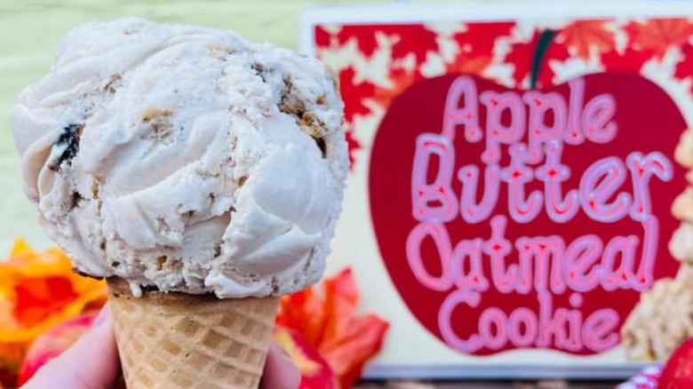 Apple butter oatmeal ice cream