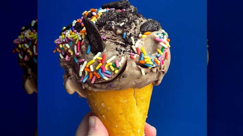An ice cream cone from Louisville Cream in Kentucky
