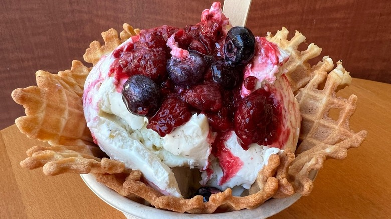 Ice cream from Milk and Honey Cafe and Ice Creamery in Michigan