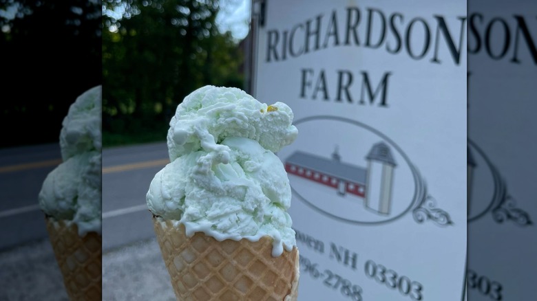 An ice cream cone from Richardson's Ice Cream in Massachusetts