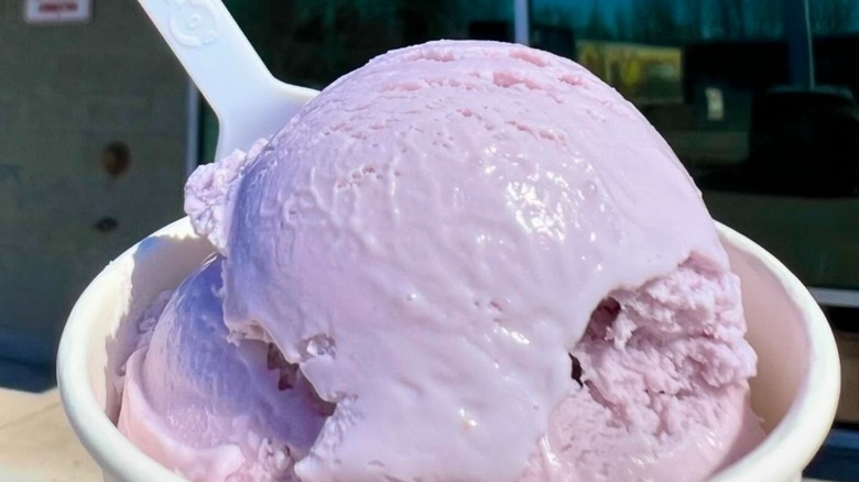 A tub of taro ice cream from WooHoo's in Alaska