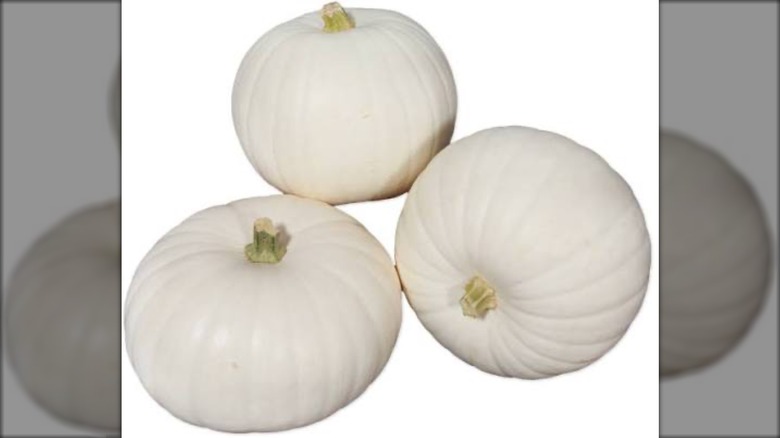 Trader Joe's Snowball Pumpkins