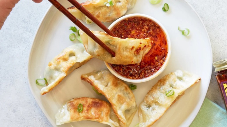 eating chicken potstickers with chopsticks