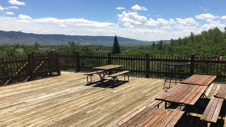 Bear Bottom Bar and Grill in Wyoming