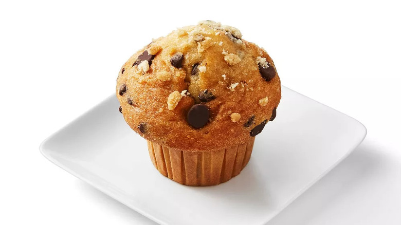 Chocolate chip muffin on a white plate