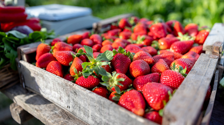 Closeup of flats of strawberries in wood container.