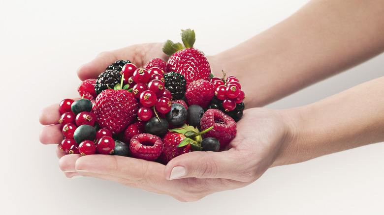 A mix of berries placed in hands
