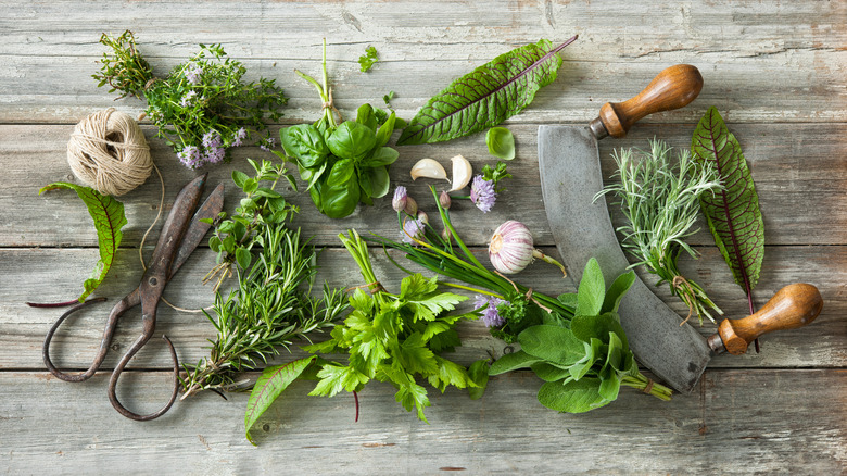 Fresh garden herbs on wooden table