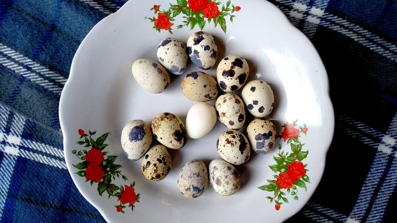 Spotted quail eggs in a white dish with a floral design