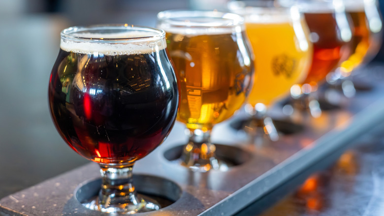 Flight of several styles of craft beer.