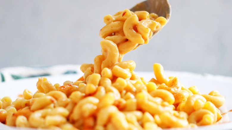 Mac and cheese on a spoon