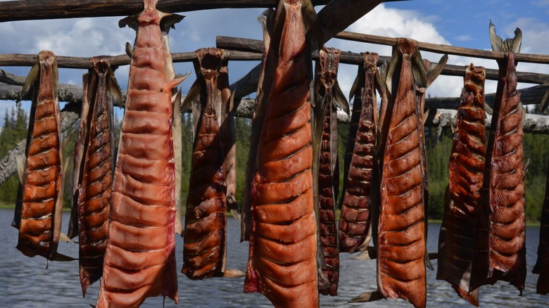 keta salmon filets hung above water in alaska