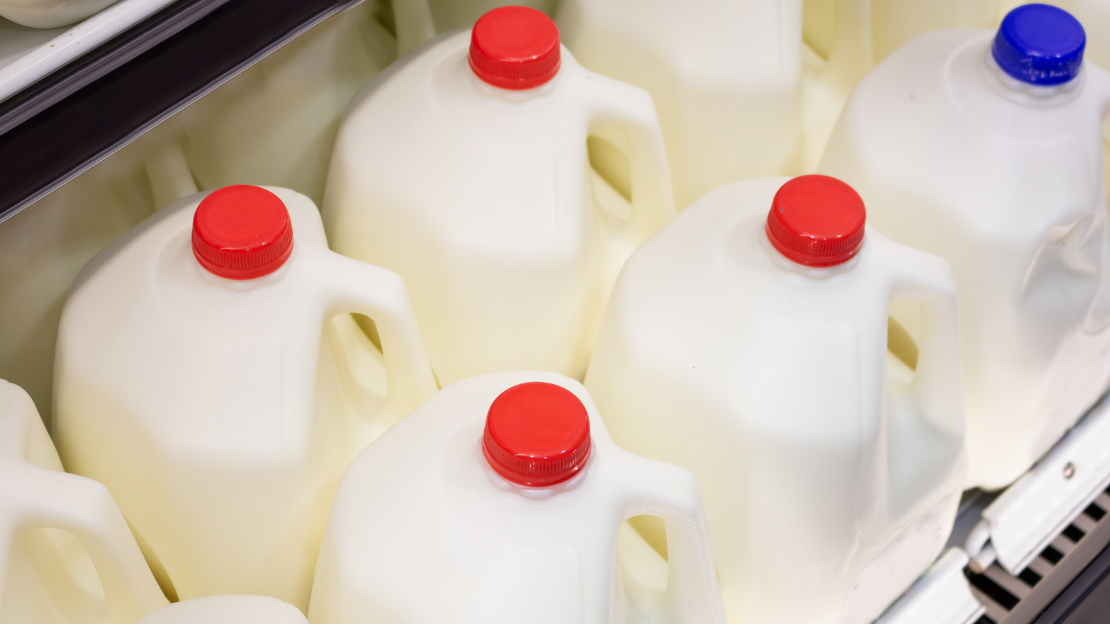 The Clever Reason Milk Is Kept At The Back Of The Grocery Store formula-milk-kesay-banaye-which-formula-milk-is-best-for-babies