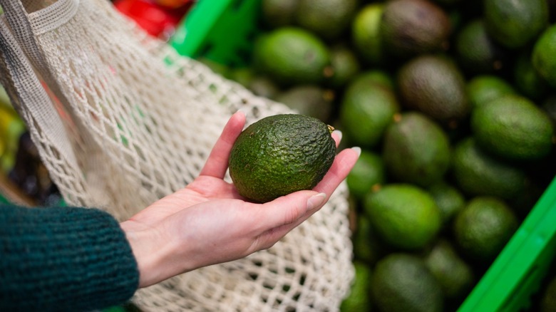 a hand holds a ripe avocado