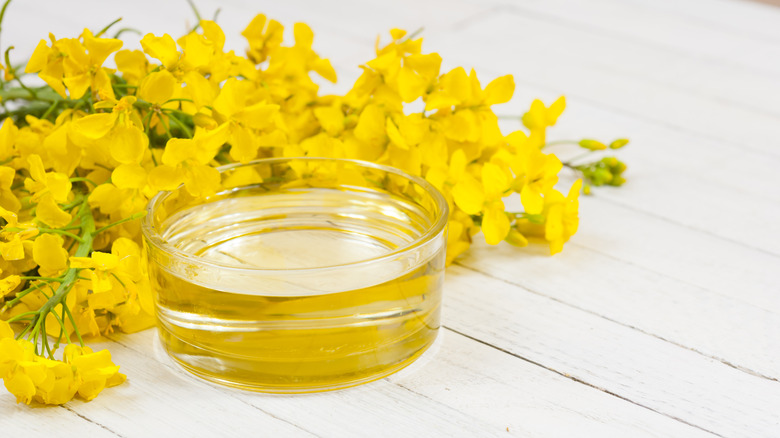 Canola oil next to canola flowers