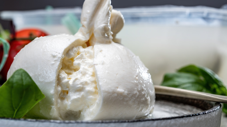 Burrata sliced open on a plate