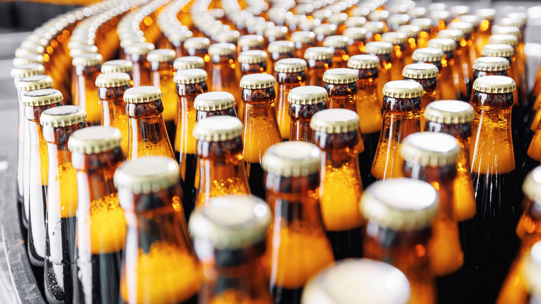 Brown glass beer bottles on production line, closeup