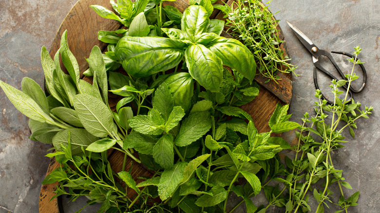 fresh herbs